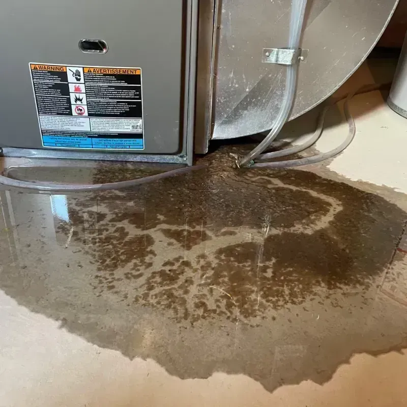 Appliance Leak Cleanup in Lubeck, WV